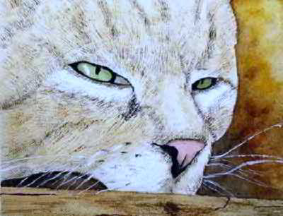 original cat watercolor painting