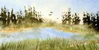 In Flight
