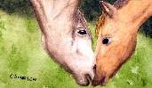 Nose To Nose