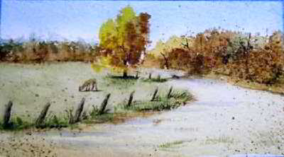 Midday Snack original watercolor painting